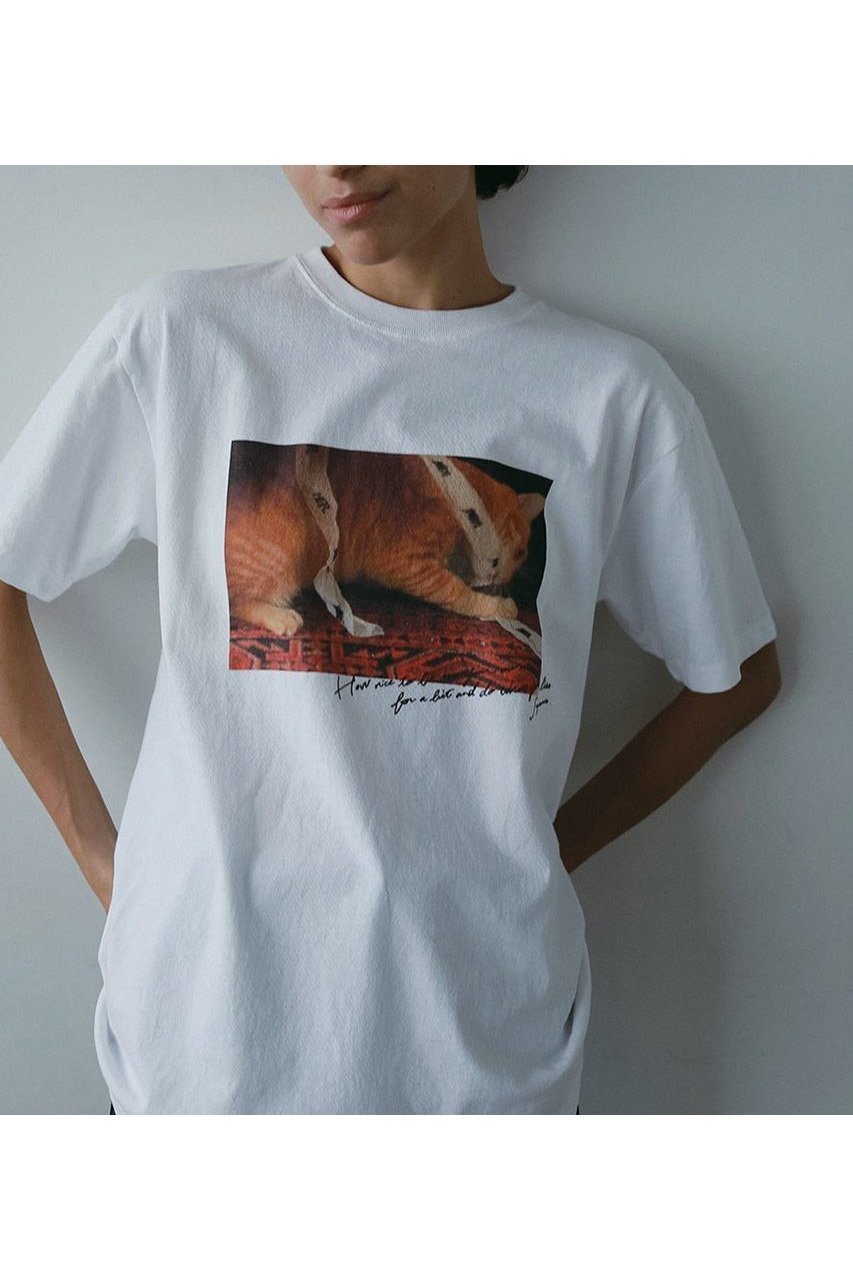 猫の「Suzume」と心やすらぐフォトTシャツ 人気、トレンドファッション・服の通販 founy(ファニー) 【ハー/HER.】 トレンドファッション・スタイル  Fashion Trends ファッション、ブランド PICK UP! Fashion Brand Pick Up ファッション Fashion レディースファッション WOMEN トップス・カットソー Tops/Tshirt シャツ/ブラウス Shirts/Blouses ロング / Tシャツ T-Shirts カットソー Cut and Sewn ショート Short スリーブ Sleeve ヴィンテージ Vintage NEW・新作・新着・新入荷 New Arrivals 猫 Cat |ID:prp329100004557882