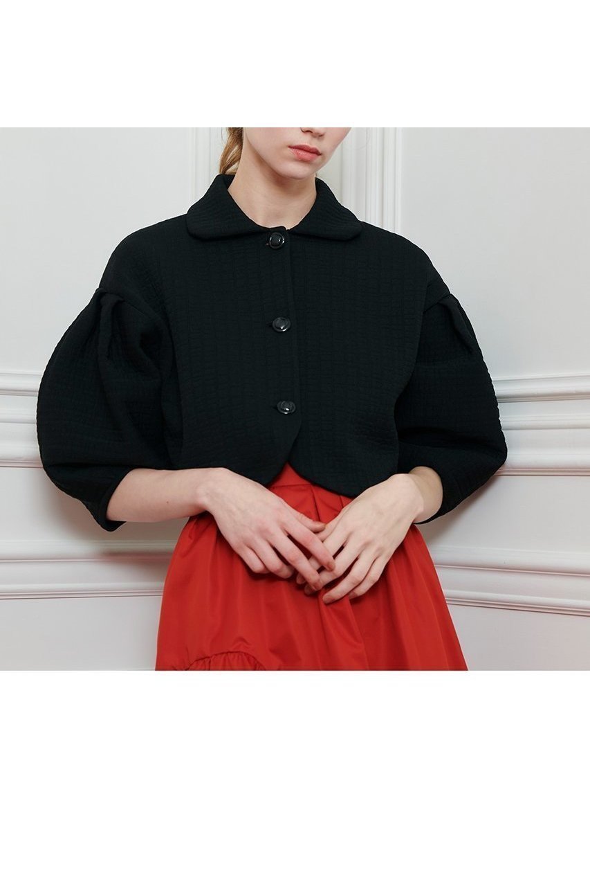 【allureville/アルアバイル】立体パフスリーブが主役、スタイルアップも叶うコンパクトジャケット 人気、トレンドファッション・服の通販 founy(ファニー) 【アルアバイル/allureville】 トレンドファッション・スタイル  Trendy Fashion & Style ファッション、ブランド PICK UP! Must-Have Online Fashion Brands ファッション Fashion レディースファッション Fashion for Women アウター Coat / Outerwear Collection レディースジャケット・軽アウター Jackets アンティーク Antique-Inspired クラシカル Classical, Vintage-Inspired コンパクト Compact, Small Size ジャカード／ジャガード Jacquard, Woven Pattern ジャケット Jacket, Outerwear スリーブ Sleeve, Long Sleeve / Short Sleeve ダブル Double, Double-Breasted モダン Modern, Contemporary 新作・新入荷 New Arrivals / New In |ID:prp329100004606101