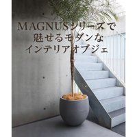【KONTONのMAGNUSシリーズで魅せるモダンなインテリアオブジェ】(コントン) 人気、トレンドファッション・服の通販 founy(ファニー) 【コントン/KONTON / GOODS】 トレンドファッション・スタイル  Trendy Fashion & Style インテリア・デザイナーズ家具 Top Interior & Designer Furniture 送料無料 Free Shipping ガラス Glass, Glassware ストーン Stone, Gem-Like パウダー Powder, Soft Tone 軽量 Lightweight, Ultra Light ホーム・キャンプ・アウトドア・お取り寄せ Home Living / Home & Lifestyle / Camping Gear / Outdoor Camping 家具・インテリア Home Furniture & Interior. Stylish & Functional Living Spaces その他 インテリア雑貨、家具 Home Decor & Furniture Extras |ID:stp329100000006655