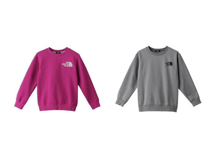 【THE NORTH FACE / KIDS/ザ ノース フェイス】の【Kids】フロントビュークルー&【Kids】ファイヤーフライスウェットクルー 【KIDS】子供服のおすすめ！人気トレンド・キッズファッションの通販  おすすめ人気トレンドファッション通販アイテム インテリア・キッズ・メンズ・レディースファッション・服の通販 founy(ファニー) https://founy.com/ ファッション Fashion キッズファッション KIDS トップス・カットソー Tops/Tees/Kids チェーン 定番 Standard プリント |ID:crp329100000122553