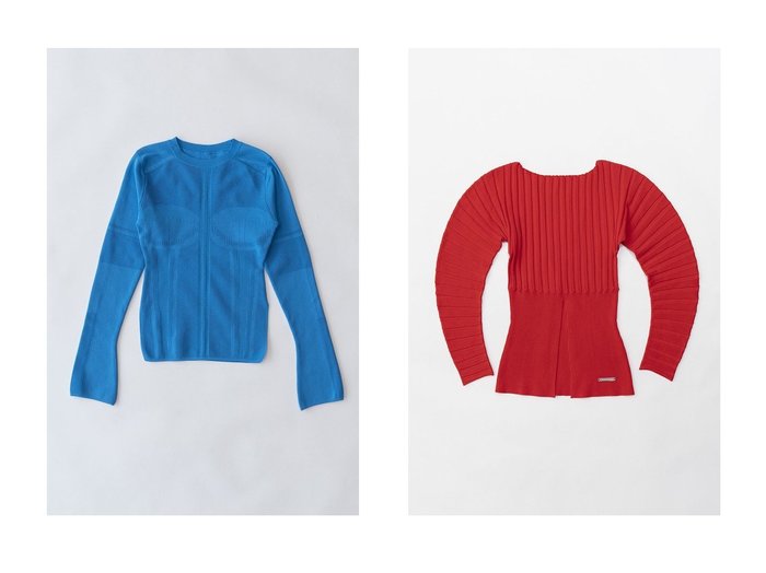 【PRANK PROJECT/プランク プロジェクト】のメッシュビスチェニット Mesh Bustier Knit&ラウンドリブニット Round Rib Knit 【2023-2024秋冬・A/W】おすすめ！人気、トレンド、レディースファッションの通販 おすすめ人気トレンドファッション通販アイテム インテリア・キッズ・メンズ・レディースファッション・服の通販 founy(ファニー) https://founy.com/ ファッション Fashion レディースファッション WOMEN トップス・カットソー Tops/Tshirt ニット Knit Tops プルオーバー Pullover ビスチェ Bustier 2023年 2023 2023-2024秋冬・A/W AW/Autumn/Winter//FW/Fall-Winter/2023-2024 A/W・秋冬 AW・Autumn/Winter・FW・Fall-Winter おすすめ Recommend オフショル スリット フロント ラウンド フィット ボトム メッシュ |ID:crp329100000155062