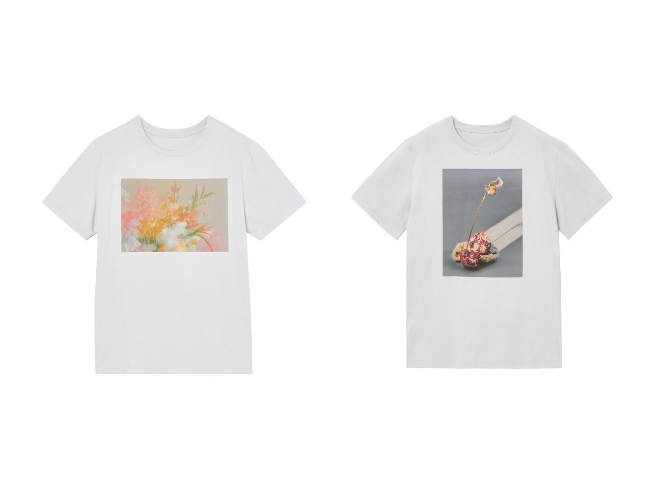 【ANAYI/アナイ】のコットン天竺フラワープリントTシャツ&コットン天竺ザクロプリントTシャツ 【トップス、カットソー 通販 2024春夏 S/S 春 夏コーデ通販】おすすめ！人気、トレンド、レディースファッションの通販  おすすめ人気トレンドファッション通販アイテム インテリア・キッズ・メンズ・レディースファッション・服の通販 founy(ファニー) 　ファッション　Fashion　レディースファッション　WOMEN　トップス・カットソー　Tops/Tshirt　シャツ/ブラウス　Shirts/Blouses　ロング / Tシャツ　T-Shirts　カットソー　Cut and Sewn　花柄・フラワープリント・モチーフ　Flower Patterns　なめらか　Smooth　エレガント 上品　Elegant　ショート　Short　スリーブ　Sleeve　バランス　Balance　フラワー　Flower　プリント　Print　ミックス　Mix　リアル　Real　リラックス　Relax　NEW・新作・新着・新入荷　New Arrivals　グレー系　Gray　|ID:crp329100000182199