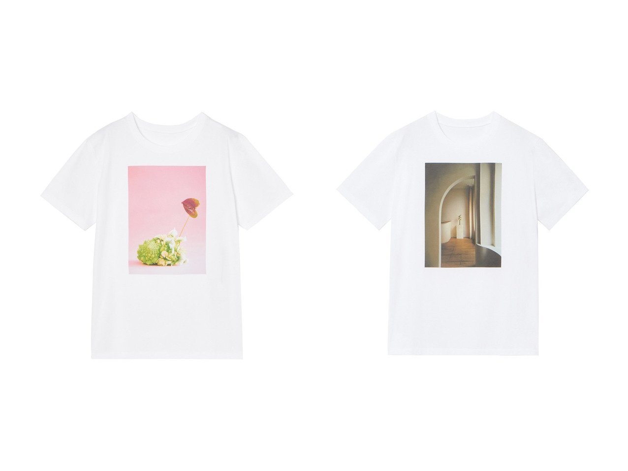 【ANAYI/アナイ】のコットン天竺ロマネスコプリントTシャツ&コットン天竺モダンプリントTシャツ 【トップス、カットソー 通販 2024春夏 S/S 春 夏コーデ通販】おすすめ！人気、トレンド、レディースファッションの通販  おすすめ人気トレンドファッション通販アイテム インテリア・キッズ・メンズ・レディースファッション・服の通販 founy(ファニー) 　ファッション　Fashion　レディースファッション　WOMEN　トップス・カットソー　Tops/Tshirt　シャツ/ブラウス　Shirts/Blouses　ロング / Tシャツ　T-Shirts　カットソー　Cut and Sewn　なめらか　Smooth　エレガント 上品　Elegant　ショート　Short　スリーブ　Sleeve　バランス　Balance　フラワー　Flower　プリント　Print　ミックス　Mix　モダン　Modern　リアル　Real　リラックス　Relax　NEW・新作・新着・新入荷　New Arrivals　ホワイト系　White　|ID:crp329100000182200