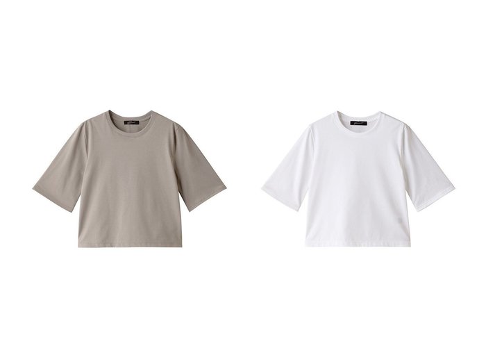 【STUNNING LURE/スタニングルアー】のウルティマコットンTシャツ 【トップス、カットソー 人気通販 コーディネート通販】おすすめ！人気、トレンド、レディースファッションの通販   おすすめ人気トレンドファッション通販アイテム 人気、トレンドファッション・服の通販 founy(ファニー) ファッション Fashion レディースファッション WOMEN トップス・カットソー Tops/Tshirt シャツ/ブラウス Shirts/Blouses ロング / Tシャツ T-Shirts カットソー Cut and Sewn 2024年 2024 2024-2025秋冬・A/W Aw/Autumn/Winter/Fw/Fall/2024-2025 A/W・秋冬 Aw・Autumn/Winter・Fw・Fall-Winter ショート Short スリーブ Sleeve バランス Balance |ID:crp329100000191532