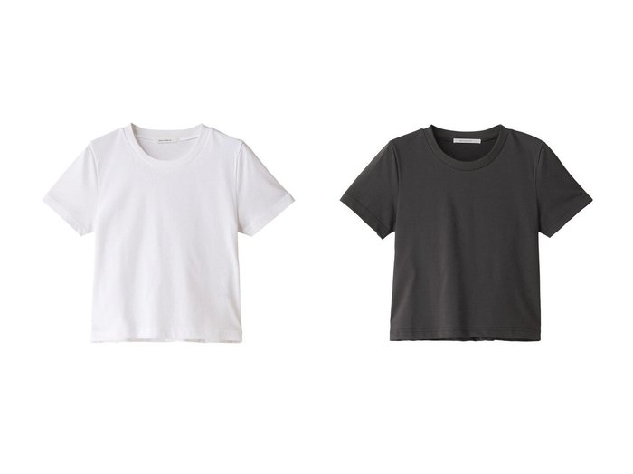 【MIDIUMISOLID/ミディウミソリッド】のcropped tee Tシャツ 【トップス、カットソー 人気通販 コーディネート通販】おすすめ！人気、トレンド、レディースファッションの通販    おすすめ人気トレンドファッション通販アイテム 人気、トレンドファッション・服の通販 founy(ファニー) 　ファッション　Fashion　レディースファッション　WOMEN　トップス・カットソー　Tops/Tshirt　シャツ/ブラウス　Shirts/Blouses　ロング / Tシャツ　T-Shirts　カットソー　Cut and Sewn　2024年　2024　2024-2025秋冬・A/W　Aw/Autumn/Winter/Fw/Fall/2024-2025　A/W・秋冬　Aw・Autumn/Winter・Fw・Fall-Winter　おすすめ　Recommend　クロップド　Cropped　コンパクト　Compact　ショート　Short　シンプル　Simple　スリーブ　Sleeve　バランス　Balance　ベーシック　Basic　リラックス　Relax　|ID:crp329100000193225