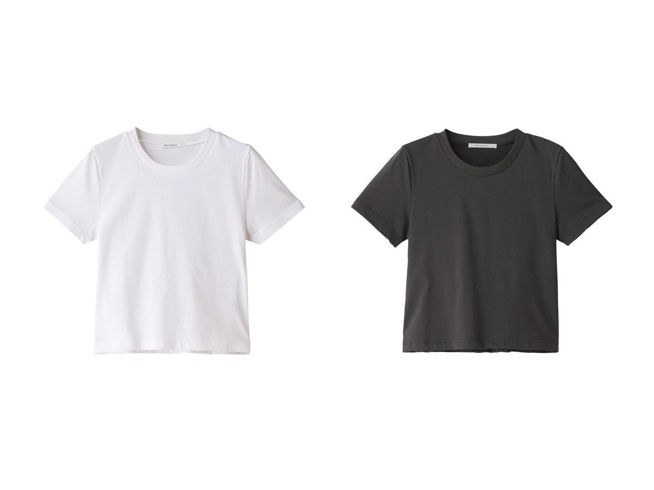 【MIDIUMISOLID/ミディウミソリッド】のcropped tee Tシャツ 【トップス、カットソー 人気通販 コーディネート通販】おすすめ！人気、トレンド、レディースファッションの通販    おすすめ人気トレンドファッション通販アイテム インテリア・キッズ・メンズ・レディースファッション・服の通販 founy(ファニー) 　ファッション　Fashion　レディースファッション　WOMEN　トップス・カットソー　Tops/Tshirt　シャツ/ブラウス　Shirts/Blouses　ロング / Tシャツ　T-Shirts　カットソー　Cut and Sewn　2024年　2024　2024-2025秋冬・A/W　Aw/Autumn/Winter/Fw/Fall/2024-2025　A/W・秋冬　Aw・Autumn/Winter・Fw・Fall-Winter　おすすめ　Recommend　クロップド　Cropped　コンパクト　Compact　ショート　Short　シンプル　Simple　スリーブ　Sleeve　バランス　Balance　ベーシック　Basic　リラックス　Relax　ホワイト系　White　グレー系　Gray　ブラック系　Black　|ID:crp329100000193225