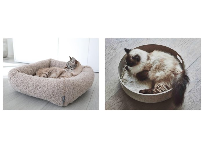 【MiaCara/ミアカラ】のCesto Cat Basket& チェスト キャットベッド & トイバスケット&センソ キャットベッド 【ペット用品　FURNITURE】おすすめ！人気、インテリア雑貨、家具の通販  人気通販 コーディネート通販】おすすめ！人気、トレンド、レディースファッションの通販    おすすめ人気トレンドファッション通販アイテム 人気、トレンドファッション・服の通販 founy(ファニー) 　送料無料　Free Shipping　ボックス　Box　猫　Cat　クッション　Cushion　雑誌　Magazine　バスケット　Basket　フィット　Fit　フェルト　Felt　ブランケット　Blanket　おすすめ　Recommend　ホーム・キャンプ・アウトドア・お取り寄せ　Home,Garden,Outdoor,Camping Gear　家具・インテリア　Furniture　その他 インテリア雑貨、家具　Furniture, Interior, Others　ホーム・キャンプ・アウトドア・お取り寄せ　Home,Garden,Outdoor,Camping Gear　家具・インテリア　Furniture　その他 インテリア雑貨、家具　Furniture, Interior, Others　|ID:crp329100000199465