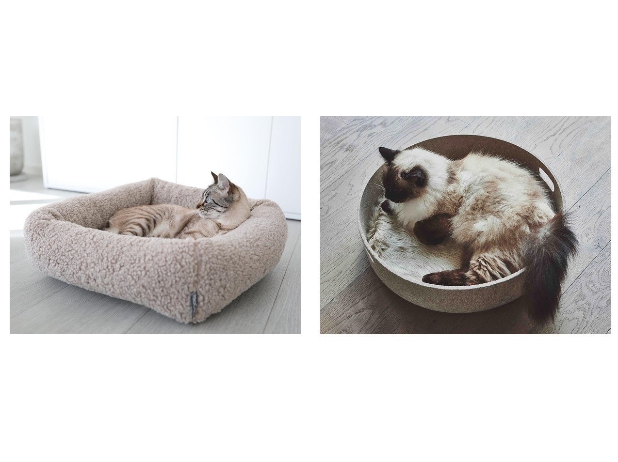 【MiaCara/ミアカラ】のCesto Cat Basket& チェスト キャットベッド & トイバスケット&センソ キャットベッド 【ペット用品　FURNITURE】おすすめ！人気、インテリア雑貨、家具の通販  人気通販 コーディネート通販】おすすめ！人気、トレンド、レディースファッションの通販    おすすめ人気トレンドファッション通販アイテム インテリア・キッズ・メンズ・レディースファッション・服の通販 founy(ファニー) 　送料無料　Free Shipping　ボックス　Box　猫　Cat　クッション　Cushion　雑誌　Magazine　バスケット　Basket　フィット　Fit　フェルト　Felt　ブランケット　Blanket　おすすめ　Recommend　ホーム・キャンプ・アウトドア・お取り寄せ　Home,Garden,Outdoor,Camping Gear　家具・インテリア　Furniture　その他 インテリア雑貨、家具　Furniture, Interior, Others　グレー系　Gray　ベージュ系　Beige　ブラック系　Black　イエロー系　Yellow　|ID:crp329100000199465