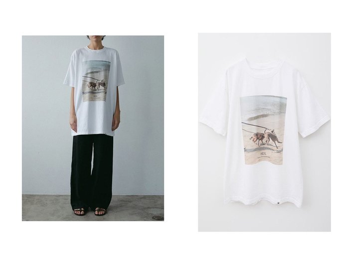 【HER./ハー】イタリアングレイハウンドがモチーフのヴィンテージ風フォトTシャツ おすすめ人気トレンドファッション通販アイテム 人気、トレンドファッション・服の通販 founy(ファニー) ファッション Fashion レディースファッション WOMEN トップス・カットソー Tops/Tshirt シャツ/ブラウス Shirts/Blouses ロング / Tシャツ T-Shirts カットソー Cut and Sewn ショート Short スリーブ Sleeve ヴィンテージ Vintage NEW・新作・新着・新入荷 New Arrivals |ID:crp329100000217880