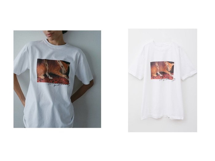 【HER./ハー】猫の「Suzume」と心やすらぐフォトTシャツ おすすめ人気トレンドファッション通販アイテム 人気、トレンドファッション・服の通販 founy(ファニー) ファッション Fashion レディースファッション WOMEN トップス・カットソー Tops/Tshirt シャツ/ブラウス Shirts/Blouses ロング / Tシャツ T-Shirts カットソー Cut and Sewn ショート Short スリーブ Sleeve ヴィンテージ Vintage NEW・新作・新着・新入荷 New Arrivals 猫 Cat |ID:crp329100000217882