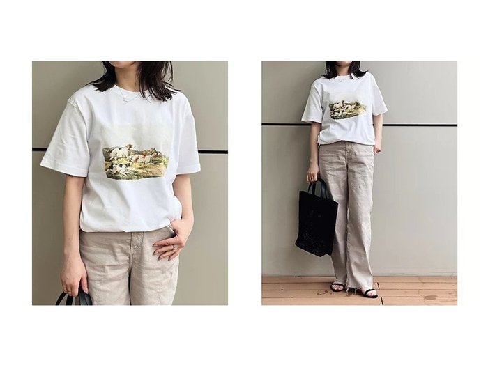 【suadeo/スアデオ】クラシカルな犬のアートが主役 上品に遊べるプリントTシャツ おすすめ人気トレンドファッション通販アイテム インテリア・キッズ・メンズ・レディースファッション・服の通販 founy(ファニー) https://founy.com/ ファッション Fashion レディースファッション WOMEN トップス・カットソー Tops/Tshirt シャツ/ブラウス Shirts/Blouses ロング / Tシャツ T-Shirts イラスト Illustration 洗える Washable クラシカル Classical プリント Print 犬 Dog |ID:crp329100000218022