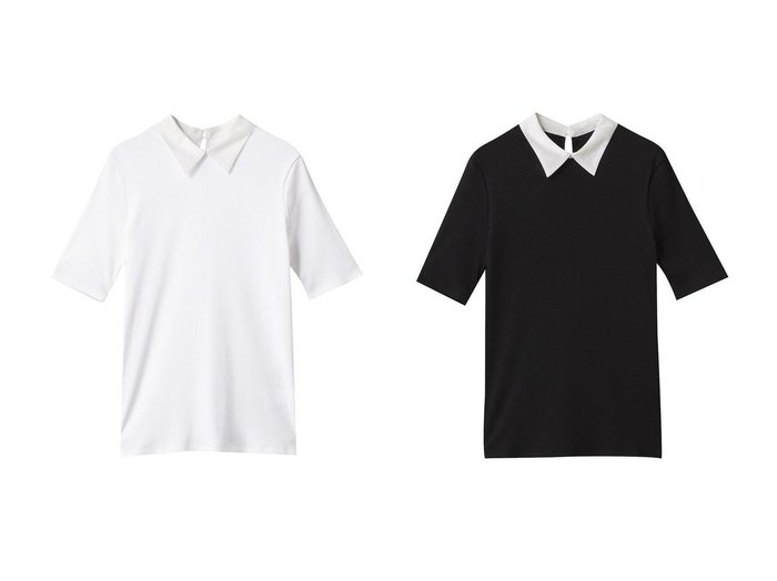 【THIRD MAGAZINE/サードマガジン】オーガンジー切り替えで上品に仕上げた シャツカラーカットソー おすすめ人気トレンドファッション通販アイテム 人気、トレンドファッション・服の通販 founy(ファニー) ファッション Fashion レディースファッション WOMEN トップス・カットソー Tops/Tshirt シャツ/ブラウス Shirts/Blouses ロング / Tシャツ T-Shirts カットソー Cut and Sewn オーガンジー Organdy カットソー Cut And Sew コンパクト Compact ショート Short スリット Slit スリーブ Sleeve NEW・新作・新着・新入荷 New Arrivals |ID:crp329100000218925
