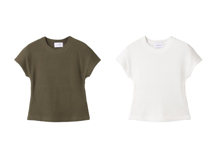 【STUNNING LURE/スタニングルアー】着心地とデザインを両立したワッフル素材のコンパクトTシャツ おすすめ人気トレンドファッション通販アイテム 人気、トレンドファッション・服の通販 founy(ファニー) ファッション Fashion レディースファッション WOMEN トップス・カットソー Tops/Tshirt シャツ/ブラウス Shirts/Blouses ロング / Tシャツ T-Shirts カットソー Cut and Sewn インナー Inner コンパクト Compact ショート Short ストレッチ Stretch スリーブ Sleeve ワッフル Waffle NEW・新作・新着・新入荷 New Arrivals |ID:crp329100000219165