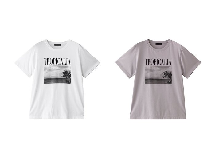 【allureville/アルアバイル】上品なモノクロプリントが映える 大人のためのコンパクトTシャツ おすすめ人気トレンドファッション通販アイテム 人気、トレンドファッション・服の通販 founy(ファニー) 　ファッション　Fashion　レディースファッション　WOMEN　トップス・カットソー　Tops/Tshirt　シャツ/ブラウス　Shirts/Blouses　ロング / Tシャツ　T-Shirts　カットソー　Cut and Sewn　おすすめ　Recommend　コンパクト　Compact　ショート　Short　ジャケット　Jacket　スリーブ　Sleeve　プリント　Print　エレガント 上品　Elegant　NEW・新作・新着・新入荷　New Arrivals　|ID:crp329100000219246