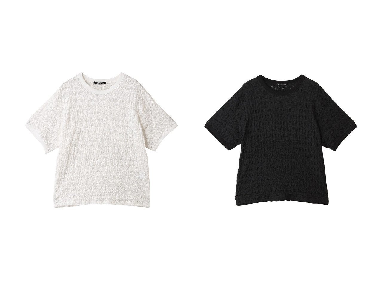 【mizuiro ind/ミズイロ インド】上品さと軽やかさを兼ね備えた万能レースTシャツで大人カジュアルを格上げ おすすめ人気トレンドファッション通販アイテム インテリア・キッズ・メンズ・レディースファッション・服の通販 founy(ファニー) 　ファッション　Fashion　レディースファッション　Fashion for Women　トップス・カットソー　Cut & Sew Tops　シャツ・ブラウス・オフィスカジュアル　Elegant Blouses & Button-Ups　ロングTシャツ・Tシャツ　Longline T-Shirts & Tees　カットソー・ベーシックTシャツ　Cut-and-Sewn Tops / Stretch Tees & Basics　シアー　Sheer, See-Through　ショート　Short, Short Length　ジャケット　Jacket, Outerwear　ストレッチ　Stretch, Stretchy Fabric　スリーブ　Sleeve, Long Sleeve / Short Sleeve　ベスト　Vest, Waistcoat　レース　Lace, Lace Fabric　エレガント 上品　Elegant　新作・新入荷　New Arrivals / New In　秋　Autumn　ホワイト系　White　ブラック系　Black　|ID:crp329100000219916