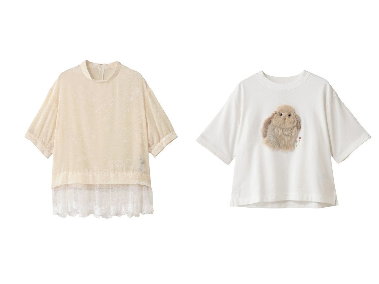 【MUVEIL/ミュベール】のウサギTシャツ&ベロアレーストップス おすすめ人気トレンドファッション通販アイテム インテリア・キッズ・メンズ・レディースファッション・服の通販 founy(ファニー) 　ファッション　Fashion　レディースファッション　Fashion for Women　トップス・カットソー　Cut & Sew Tops　シャツ・ブラウス・オフィスカジュアル　Elegant Blouses & Button-Ups　ベロアトップス　Velour Tops / Velvet-Look Items　ロングTシャツ・Tシャツ　Longline T-Shirts & Tees　カットソー・ベーシックTシャツ　Cut-and-Sewn Tops / Stretch Tees & Basics　2025年　2025　2025-2026秋冬・A/W　Autumn/Winter 2025–26 AW25–26　オケージョン　Occasion Wear　ショート　Short, Short Length　スリーブ　Sleeve, Long Sleeve / Short Sleeve　レース　Lace, Lace Fabric　エレガント 上品　Elegant　A/W・秋冬　Autumn/Winter　ブラック系　Black　ホワイト系　White　グレー系　Gray　|ID:crp329100000222355