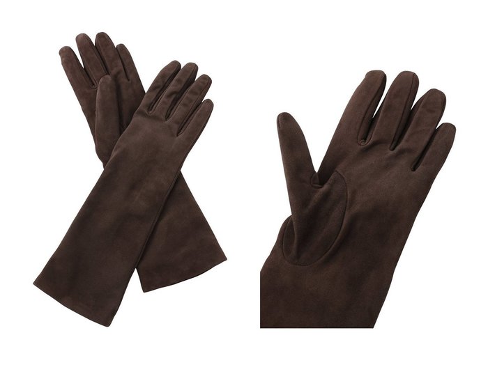 【Whim Gazette/ウィムガゼット】の【GALA GLOVES】スエードロンググローブ おすすめ！トレンド、レディースファッションの通販 おすすめ人気トレンドファッション通販アイテム 人気、トレンドファッション・服の通販 founy(ファニー) ファッション Fashion レディースファッション Fashion for Women 手袋 Gloves & Mittens イタリア Italy エレガント 上品 Elegant ロング Long, Long-Length 新作・新入荷 New Arrivals / New In 防寒 Cold Protection, Winter-Ready |ID:crp329100000224420