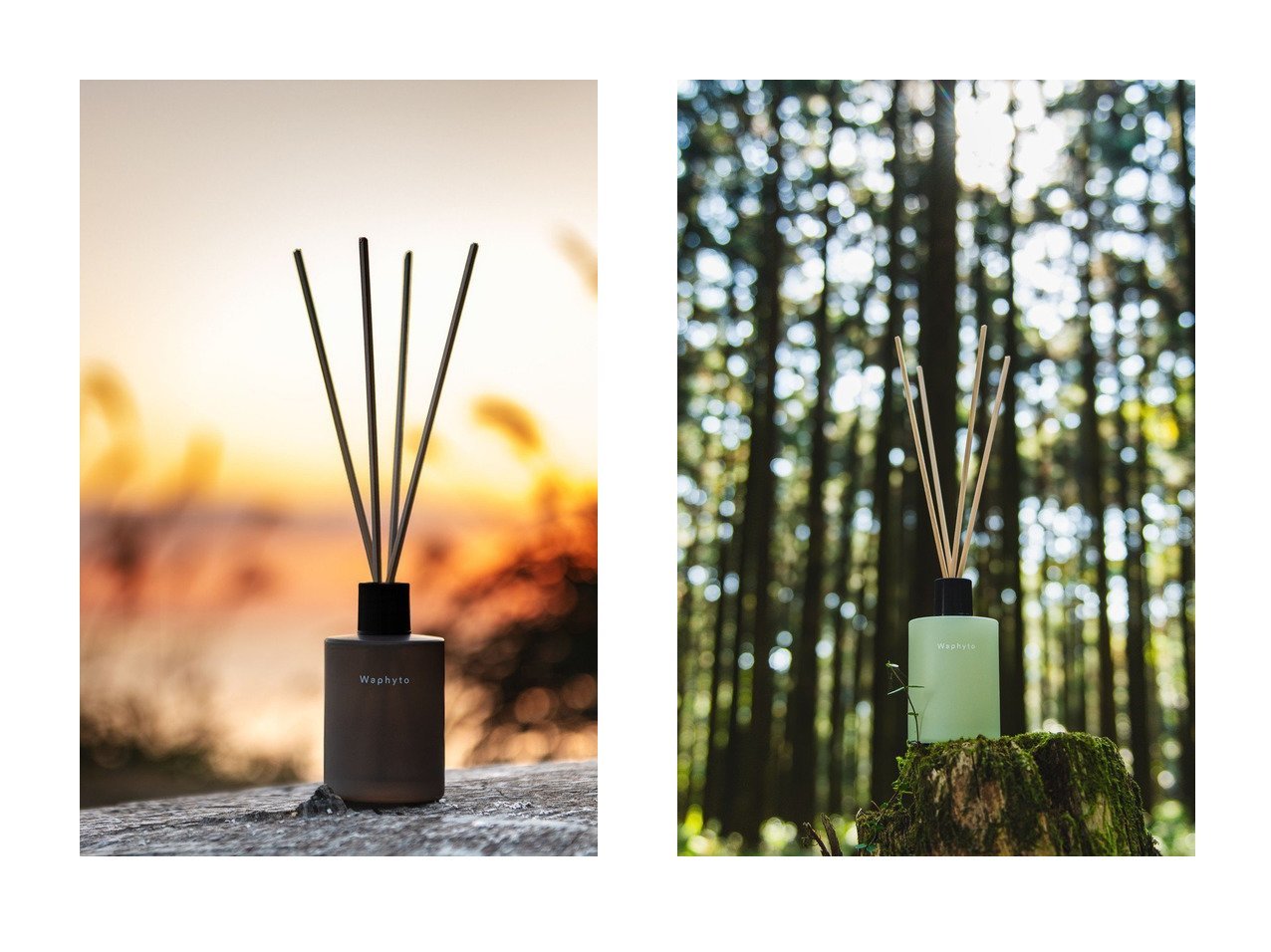 【東三河の自然を思わせるベルガモット パチュリとマンダリン シダーウッドのジェンダーレスなディフューザー詰替用】Waphyto(ワフィト)の通販 おすすめ人気トレンドファッション通販アイテム インテリア・キッズ・メンズ・レディースファッション・服の通販 founy(ファニー) 　ガラス　Glass, Glassware　ギフト プレゼント　Gift / Present　リラックス　Relax, Relaxed Fit　新作・新入荷　New Arrivals / New In　|ID:crp329100000226182