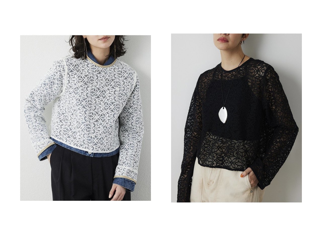 【ボタニカルレースの透け感を楽しむ 短丈デザインで上品に着まわせるクルーネックブラウス】Whim Gazette(ウィムガゼット)の通販
 おすすめ人気トレンドファッション通販アイテム インテリア・キッズ・メンズ・レディースファッション・服の通販 founy(ファニー) 　ファッション　Fashion　レディースファッション　Fashion for Women　トップス・カットソー　Cut & Sew Tops　シャツ・ブラウス・オフィスカジュアル　Elegant Blouses & Button-Ups　2026年　2026　おすすめ　Recommended / Our Picks　スリーブ　Sleeve, Long Sleeve / Short Sleeve　バランス　Balance, Style Balance　ボタニカル　Botanical, Floral Pattern　レース　Lace, Lace Fabric　ロング　Long, Long-Length　エレガント 上品　Elegant　夏　Summer　春　Spring　S/S・春夏　SS, Spring/Summer, Warm Season　ホワイト系　White　ブラック系　Black　|ID:crp329100000226516